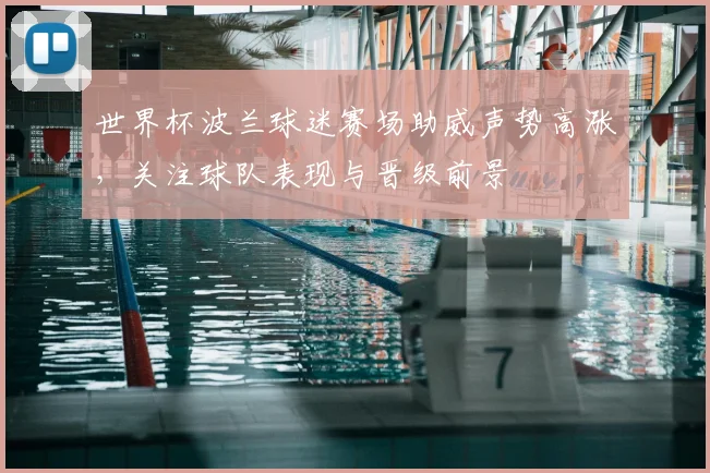 世界杯波兰球迷赛场助威声势高涨，关注球队表现与晋级前景