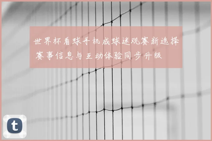 世界杯看球手机成球迷观赛新选择 赛事信息与互动体验同步升级