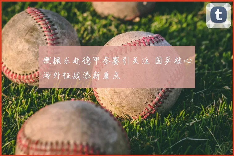 樊振东赴德甲参赛引关注 国乒核心海外征战添新看点