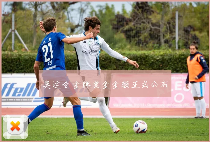 奥运会金牌奖金金额正式公布