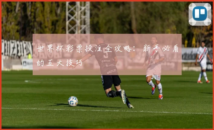 世界杯彩票投注全攻略：新手必看的五大技巧