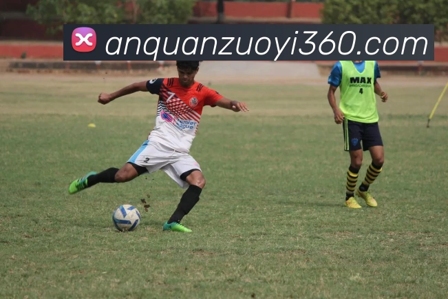 开云kaiyun网页版平台生态图