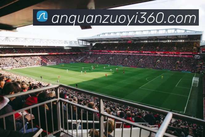 开云kaiyun网页版APP 封面图